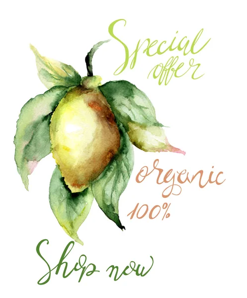 Akwarela Ilustracja Cytryna Tytułu Oferta Specjalna Organicznych — Zdjęcie stockowe