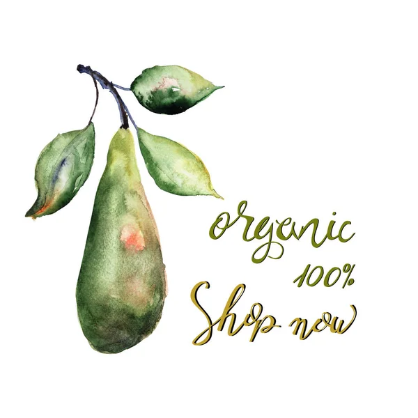 Akwarela Ilustracja Gruszek Tytuł Organicznych Sklep Nie — Zdjęcie stockowe