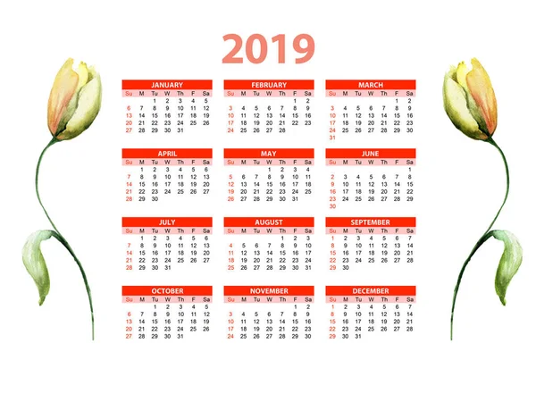 Sjabloon Voor Kalender 2019 Met Gele Tulip Bloem Aquarel Illustratio — Stockfoto