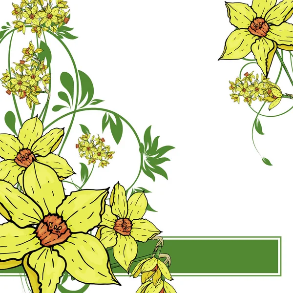 Vector mano dibujo Narciso flores fondo — Vector de stock