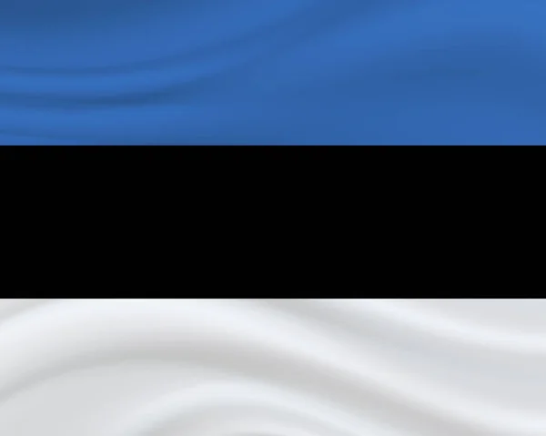 20 de agosto, Estonia Fondo Día de la Independencia — Vector de stock