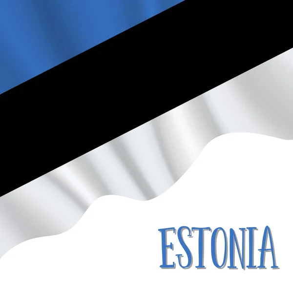 20 août, Estonie Fond de la fête de l'indépendance — Image vectorielle