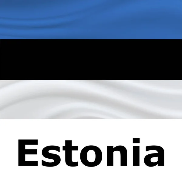 20 August, Estonia Independence Day background — Stock Vector