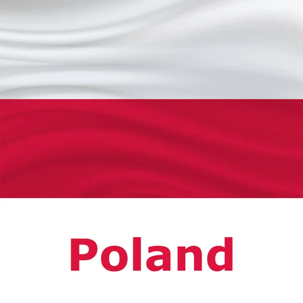 11 月 11 日ポーランド独立記念日 — ストックベクタ
