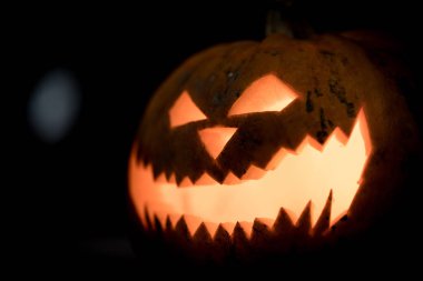 Cadılar Bayramı Balkabağı Güz