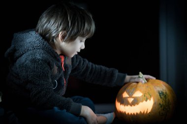 Cadılar Bayramı Balkabağı Güz