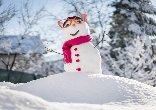 Boneco Neve Fundo Neve — Fotografia de Stock