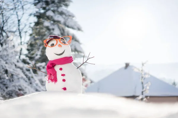 Snowman Snow Background — Stock Photo, Image