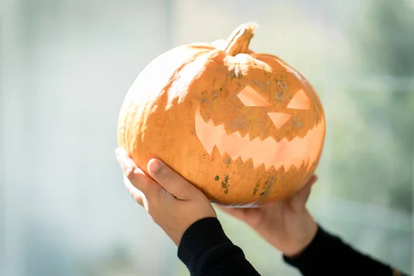 Mãos Segurando Abóbora Halloween — Fotografia de Stock