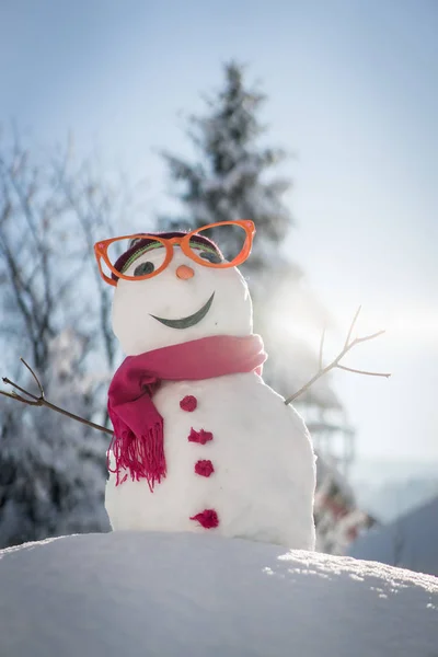 Boneco Neve Fundo Neve — Fotografia de Stock