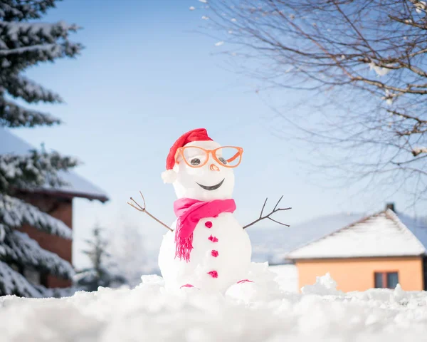 Boneco Neve Fundo Neve — Fotografia de Stock