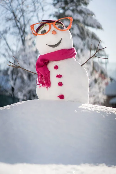 Pupazzo Neve Sfondo Neve — Foto Stock