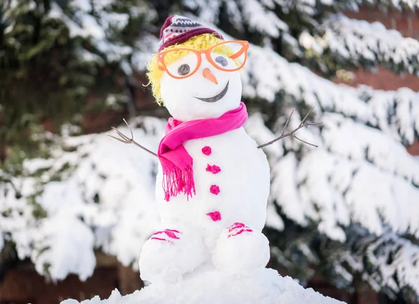 Boneco Neve Fundo Neve — Fotografia de Stock