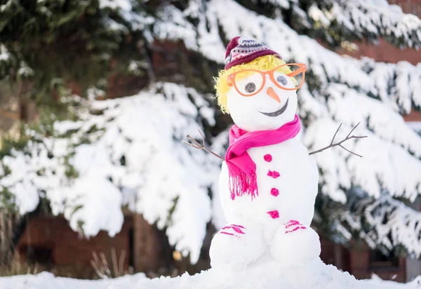 Boneco Neve Fundo Neve — Fotografia de Stock