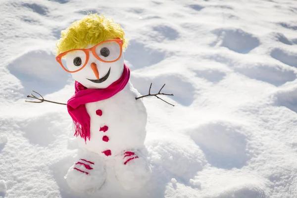 Boneco Neve Fundo Neve — Fotografia de Stock