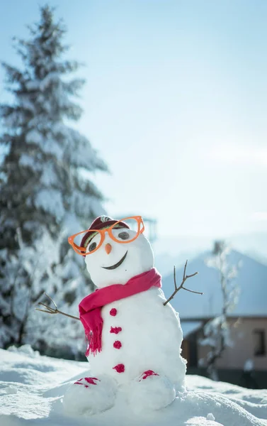 Boneco Neve Fundo Neve — Fotografia de Stock