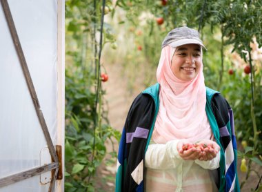 Domates hasat ile bir sera çalışan Müslüman kız