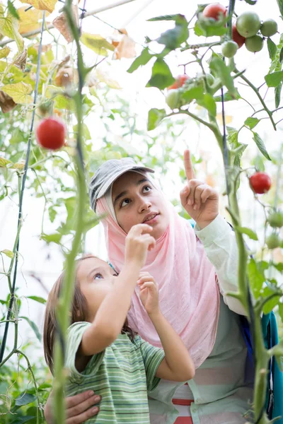 Joven árabe musulmana con un niño pequeño trabajando en greenhous — Foto de Stock