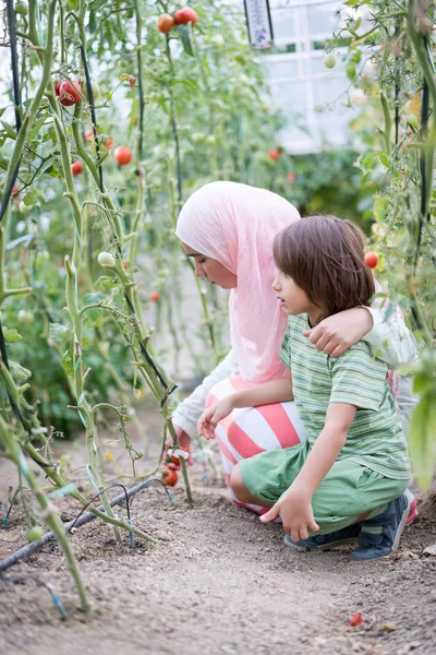 Joven árabe musulmana con un niño pequeño trabajando en greenhous — Foto de Stock
