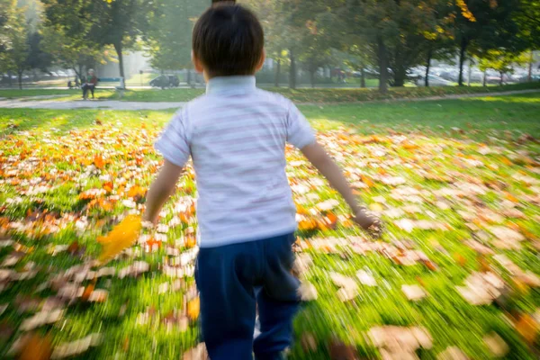 Motion imagem turva de menino correndo no parque de outono — Fotografia de Stock