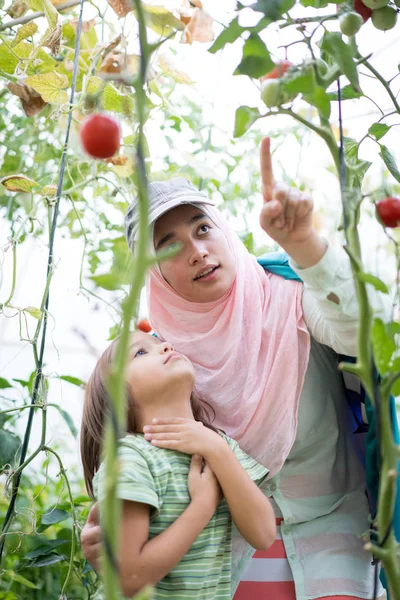 Junge arabisch-muslimische Mädchen mit kleinem Kind arbeitet in greenhous — Stockfoto