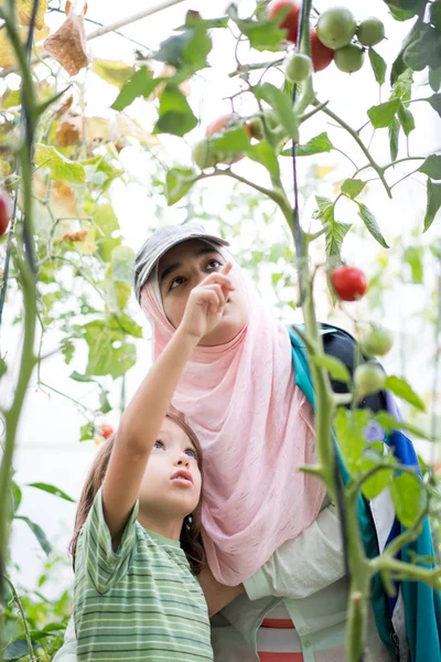 Junge arabisch-muslimische Mädchen mit kleinem Kind arbeitet in greenhous — Stockfoto