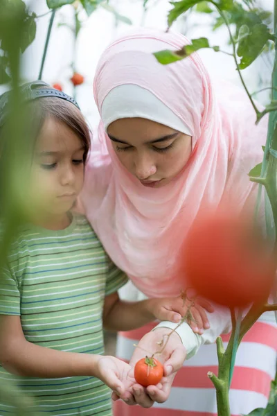 Jonge Arabische moslim meisje met weinig kind werken in Greenhous — Stockfoto