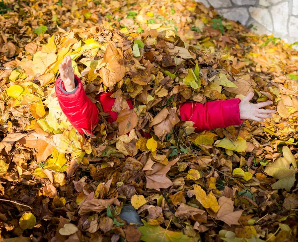 Brincalhão menino feliz em folhas de outono no parque — Fotografia de Stock