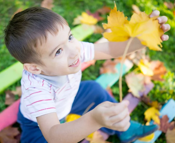 Junge im Park — Stockfoto