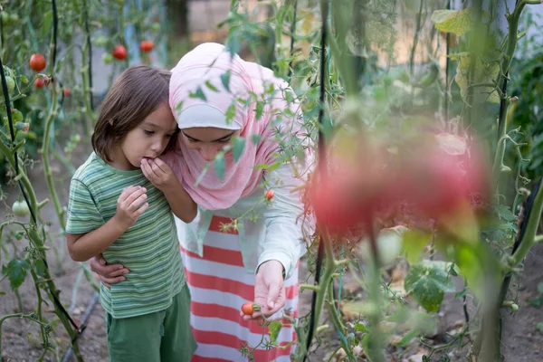 Young Arabian Muslim girl with little child working in greenhous — Stock Photo, Image