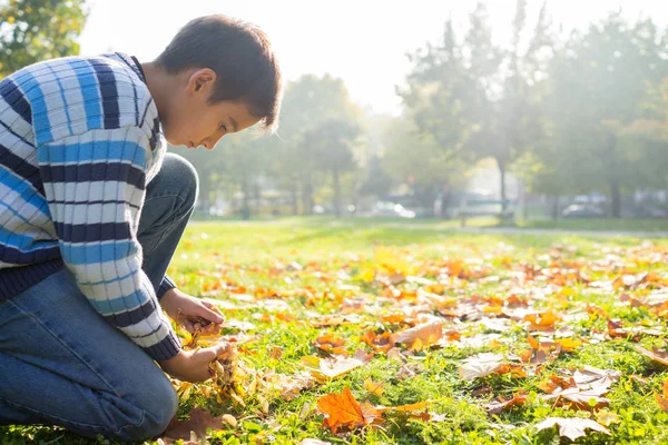 Niño en el parque Fotos de stock libres de derechos