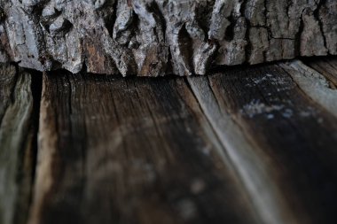 Soyut Ahşap doku doğal tasarım