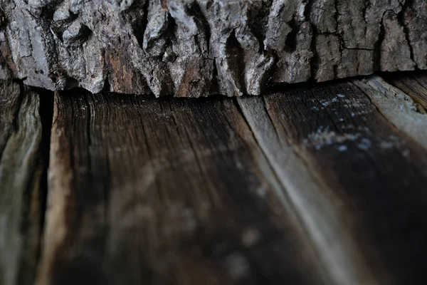 抽象的な木の質の自然な設計 — ストック写真