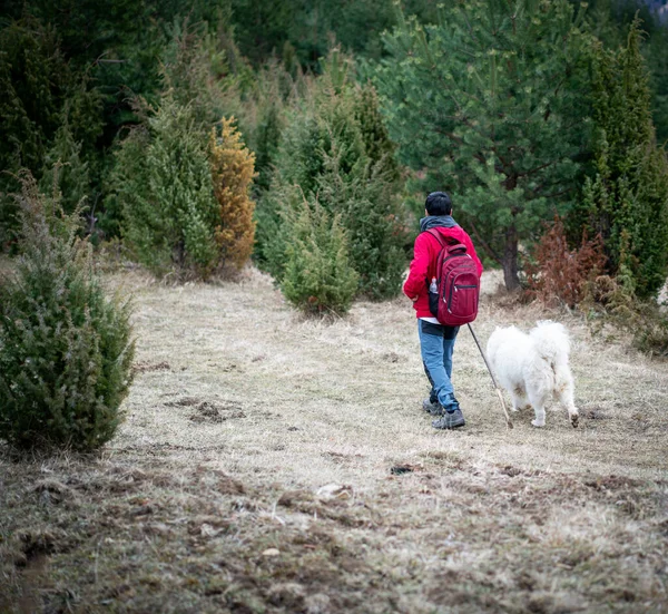 Man Går Med Hund Skogen — Stockfoto