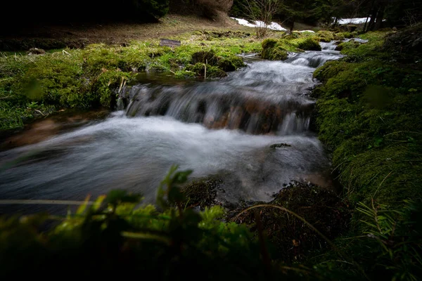 Ruisseau Milieu Une Forêt Automne Hiver — Photo