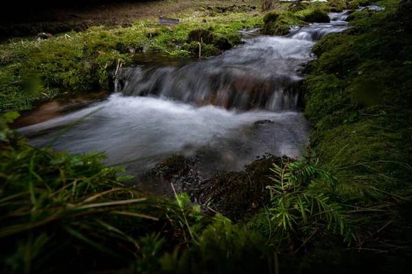 Ein Bach Inmitten Eines Waldes Herbst Und Winter — Stockfoto