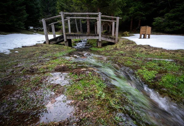 Pont Bois Sur Ruisseau Dans Une Forêt — Photo