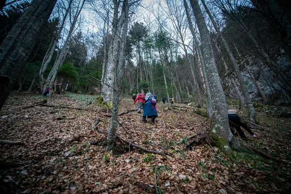 Mensen Wandelen Het Bos Het Najaar — Stockfoto