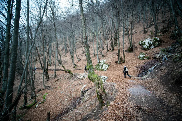 Άνθρωποι Πεζοπορία Στο Δάσος Κατά Την Φθινοπωρινή Περίοδο — Φωτογραφία Αρχείου