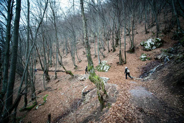 Människor Vandrar Skogen Höstsäsongen — Stockfoto