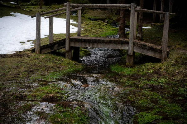 森の中の小川にかかる木製の橋 — ストック写真