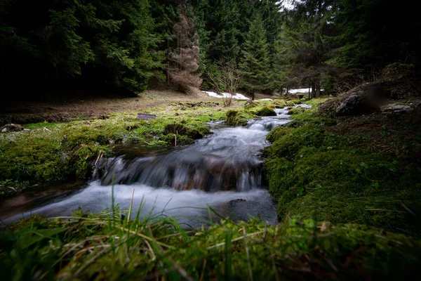 Torrente Nel Mezzo Una Foresta Durante Stagione Autunnale Invernale Immagine Stock