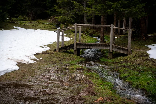 Pont Bois Sur Ruisseau Dans Une Forêt Photos De Stock Libres De Droits