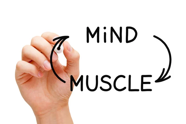 Hand Ritning Mind Muscle Anslutning Koncept Med Svart Märkpenna Transparent — Stockfoto