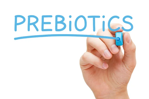 Slovní prebiotika ručně psaná s modrou značkou — Stock fotografie