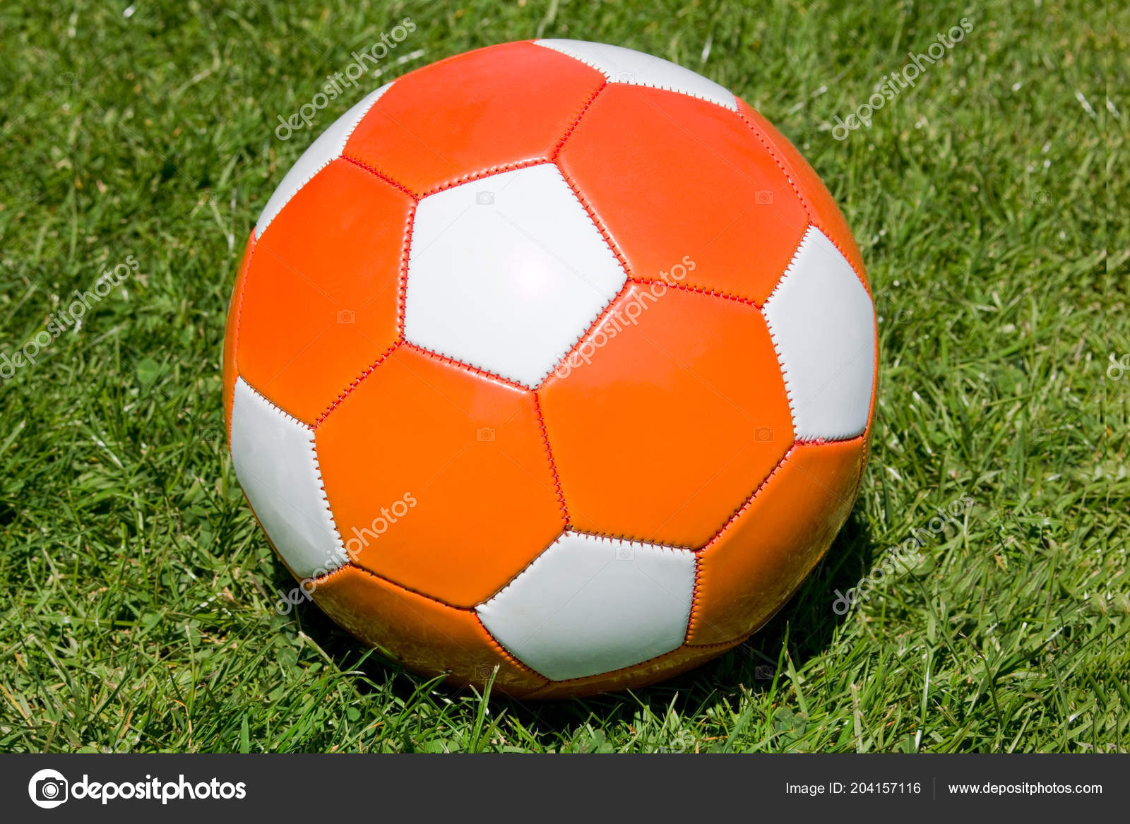 concept 2 d rowing machine