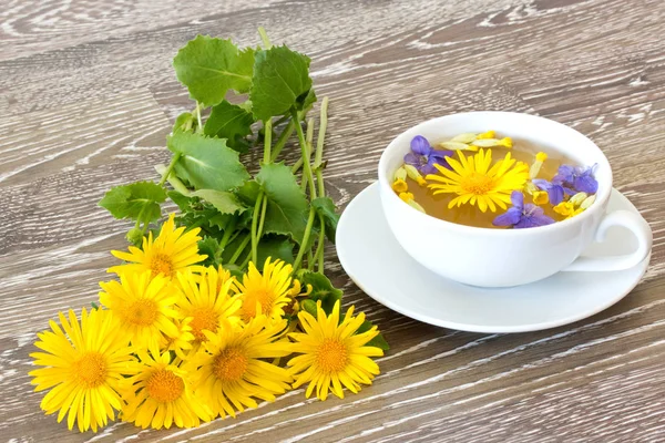 Cup Herb Tea Coltsfoot — Stock Photo, Image
