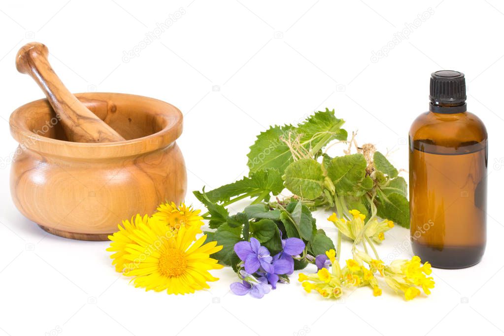 different herbs with wooden mortar and pestle