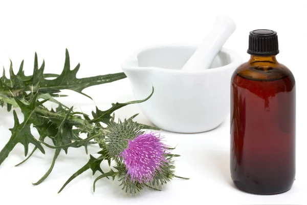 Milk Thistles Medicine Bottle Mortar White Background — Stock Photo, Image