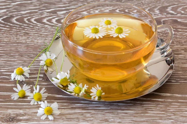 Chamomile tea in glass cup — Stock Photo, Image